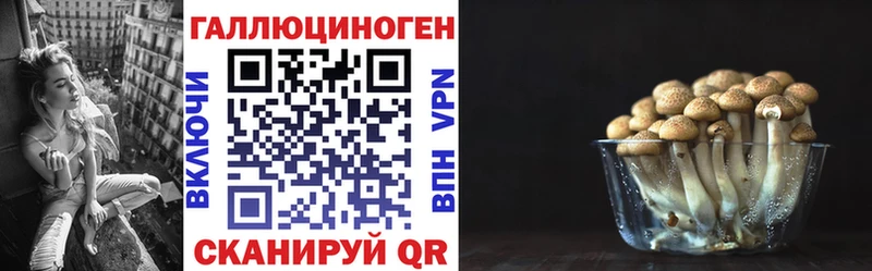 Псилоцибиновые грибы мицелий  MEGA как войти  shop официальный сайт  Верхняя Тура 